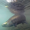 Kirk Portocarrero - Professional Fishing & Hunting Guide and Outfitter - Tourist Information & Attractions