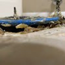 Travis and Sons Plumbing