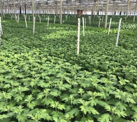Floraco Pty Ltd - West Leederville, WA