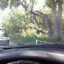Renshaw Park - Parks