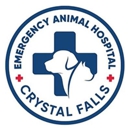 Emergency Animal Hospital of Crystal Falls - Veterinarian Emergency Services
