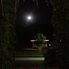 Springville Inn gallery