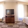 Hampton Inn & Suites Baton Rouge - I-10 East