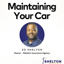 Shelton Agency, Inc. - Insurance Consultants & Analysts