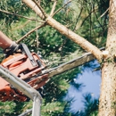 Lids Tree Services - Tree Service