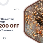 Boots Pest & Weed Control