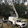 Jungle Jim's Tree Service, Inc. gallery