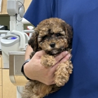 VCA All Pet Animal Hospital/Taylorsville