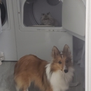 Palm City Animal Medical Center - Pet Services