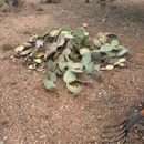 Desert Haul Away - Snow Removal Service
