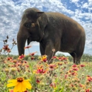 The Preserve - Wildlife Refuge