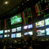 Race & Sports Book gallery