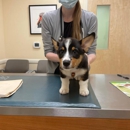 Valley Veterinary Hospital - Veterinarians