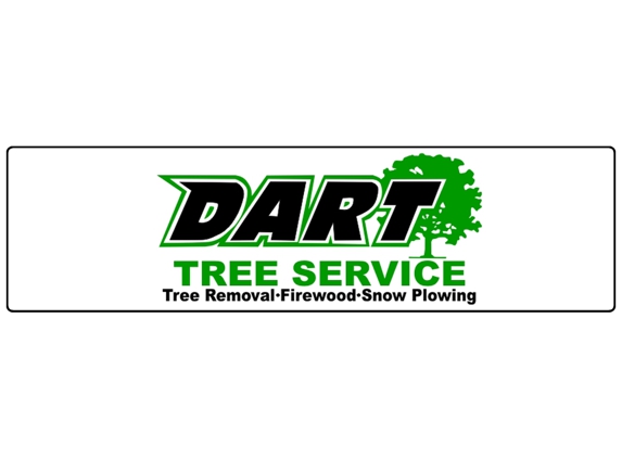 Dart Tree Service - Skaneateles, NY