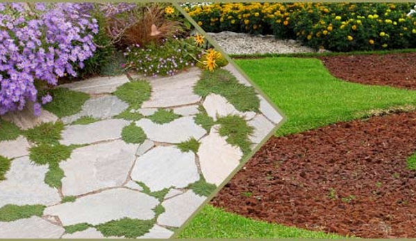 Wayne's Garden & Lawn Mowing Maintenance - Mermaid Waters, QLD