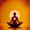 The Puja Store Astrology Spiritual Enlightnment gallery
