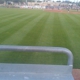 Dehler Park