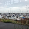 Anthony's at Squalicum Harbor gallery