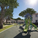 Somerset Apartments - Apartments
