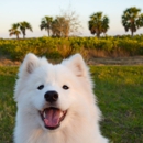 Banfield Pet Hospital - Pet Services