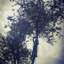 A Climb Above LLC. - Landscaping & Lawn Services