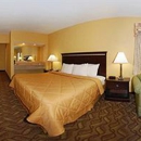 Quality Inn - Motels