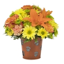 Bloomers Florist - Florists