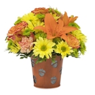 Boonton Floral Design & Gifts
