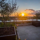 SKYGARDEN Apartments