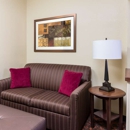 Hampton Inn Lubbock - Hotels
