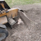 Liput Boys Stump Grinding