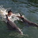Dolphin World - Tourist Information & Attractions