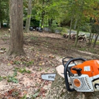 Levi's Tree Service