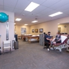 Golden Bear Physical Therapy Rehabilitation & Wellness gallery