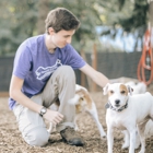 Reynolds Pet Resort - West Linn
