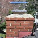 Critter Control - Pest Control Services