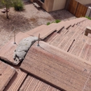 Arizona Pest Experts - Pest Control Equipment & Supplies