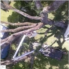 Windsor & Son Tree Care Services