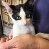 Leatherstocking Vet Group gallery