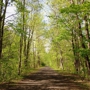 The Wallkill Valley Rail Trail