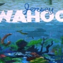 Jersey Wahoos Swim Club - Swimming Instruction