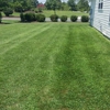 Tip Top Lawn Care gallery