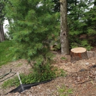 TLC Tree Service