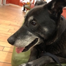 Spca - Veterinary Clinics & Hospitals