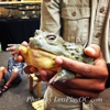 The Reptile Zoo gallery