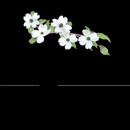 Dogwood Comprehensive Dentistry (formerly Bowman Family Dentistry) - Dental Hygienists