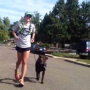 Denver Dog Joggers - Dog Walking - Dog Running Services - Pet Services