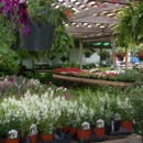 Hillcrest Farms Garden Center - Sod & Sodding Service