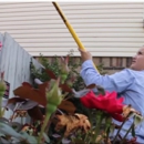 EcoShield Pest Solutions - Pest Control Services