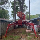 On Demand Tree Service - Arborists